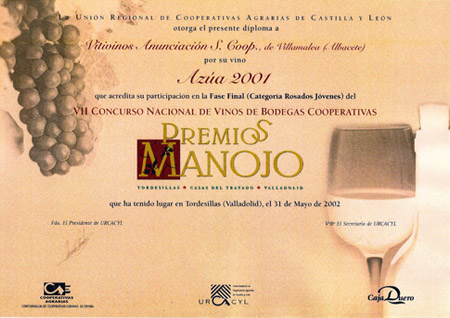 2002 - Premios Manojo